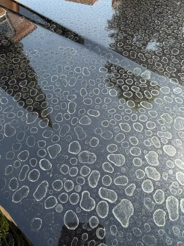 Pintura con marcas de agua